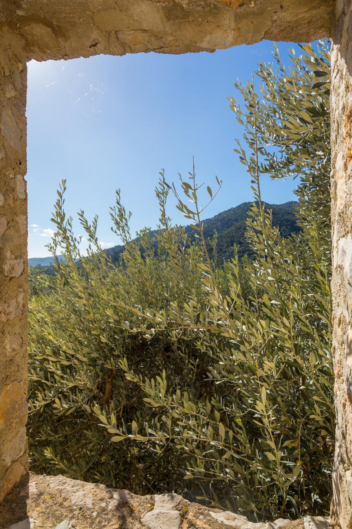 Finca Es Castell Binibona Exterior photo